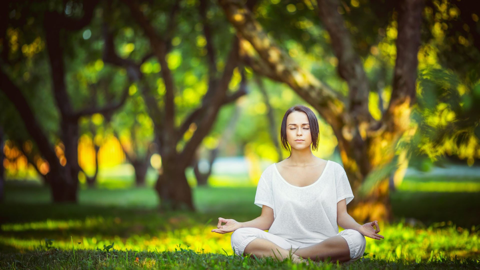 李娜启幕全国总决赛，九大悬念逐一揭晓